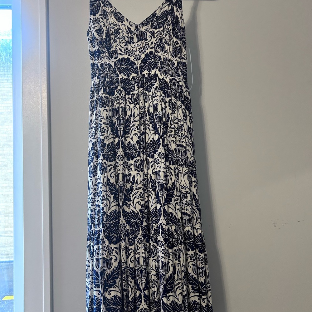 Japna Navy and White Maxi Dress